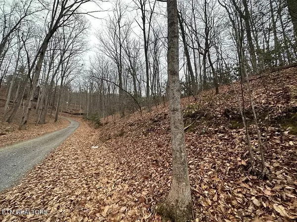 Sevierville, TN 37876,Lot 43 Trailer Park LN