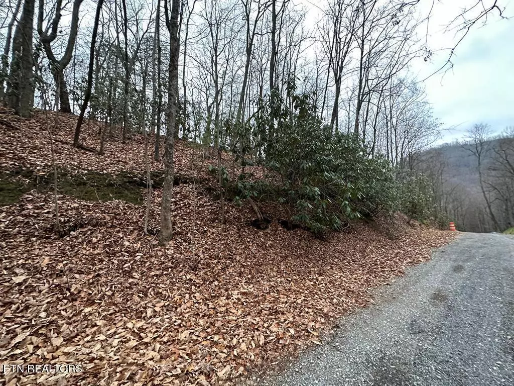 Sevierville, TN 37876,Lot 43 Trailer Park LN