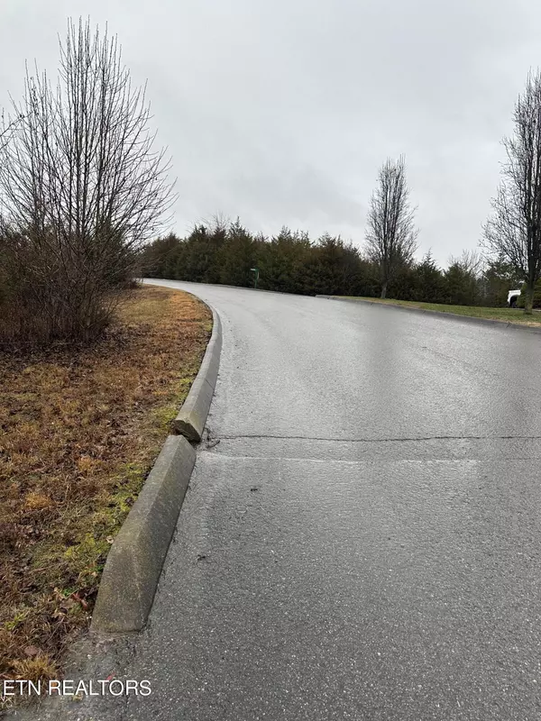 Tazewell, TN 37879,Lot156 Wedge WAY