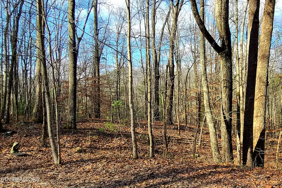 Lot 9 Walden Flats WAY, Sevierville, TN 37862