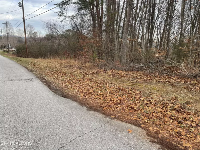 Lots 1 & 2, Skyline DR, Harriman, TN 37748