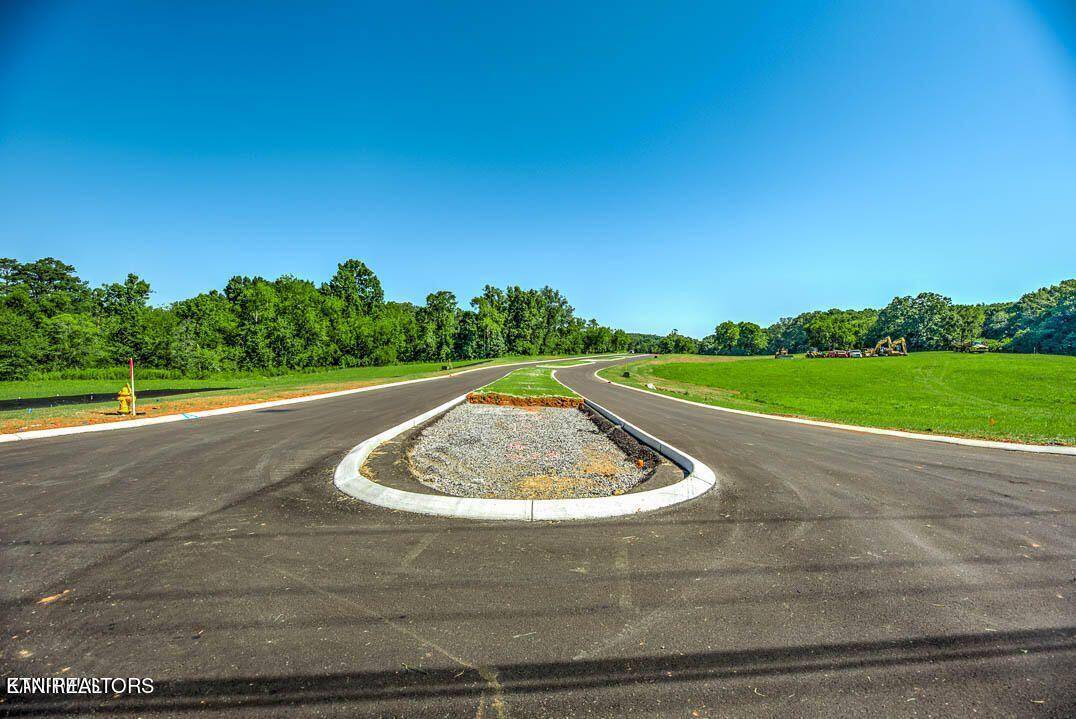 Greenback, TN 37742,LOT51 915 Sophie DR