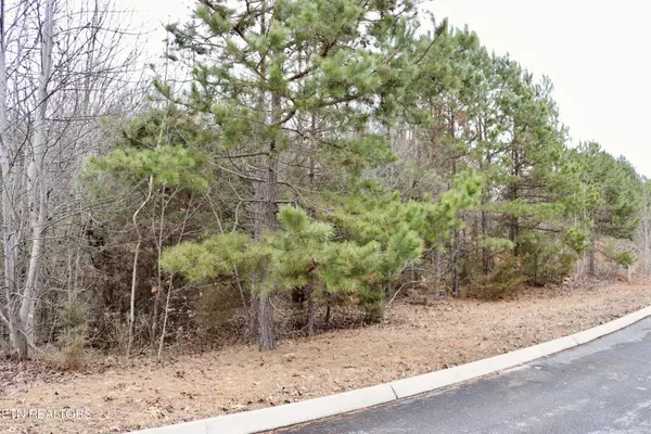 Rutledge, TN 37861,Lot 144 Shiloh Springs