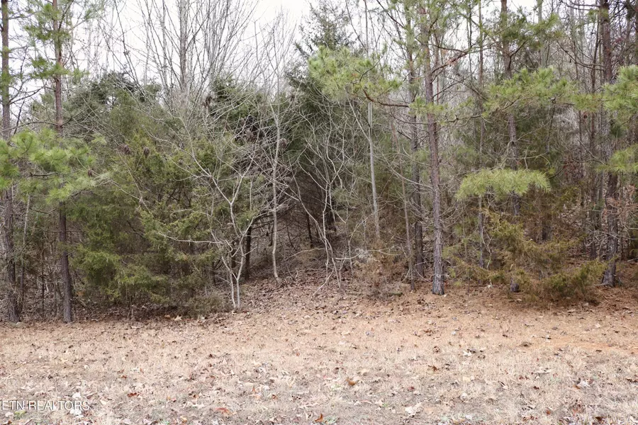 Lot 144 Shiloh Springs, Rutledge, TN 37861