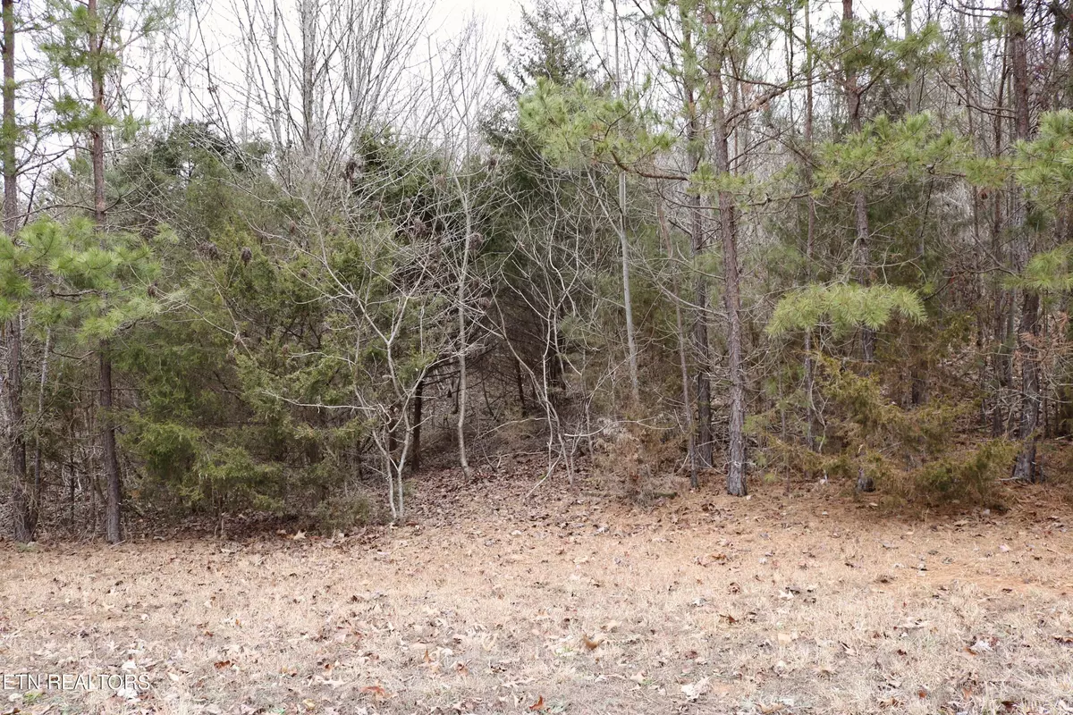 Rutledge, TN 37861,Lot 144 Shiloh Springs