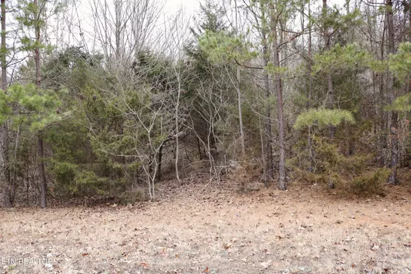 Rutledge, TN 37861,Lot 144 Shiloh Springs