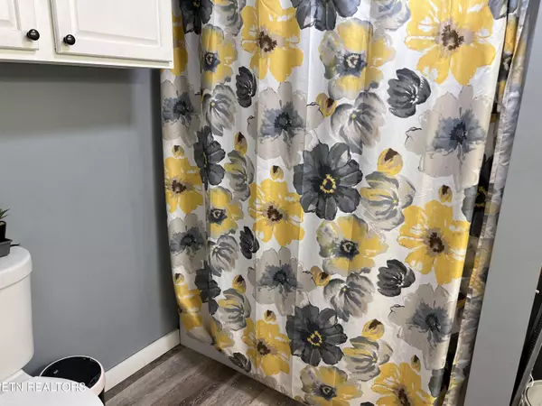 Briceville, TN 37710,1011 Frost Bottom Rd