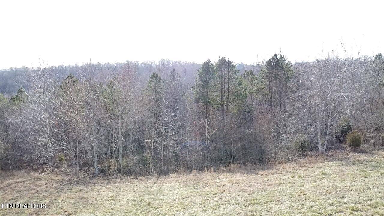 Lafollette, TN 37766,516 Cedar Gate LN