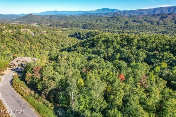 Sevierville, TN 37862,Lot 101 Laurel Cove Tr