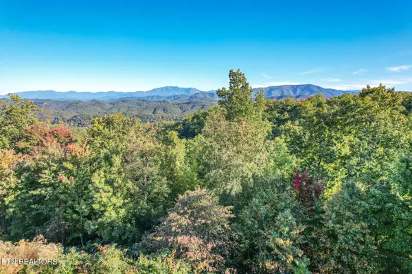 Sevierville, TN 37862,Lot 101 Laurel Cove Tr