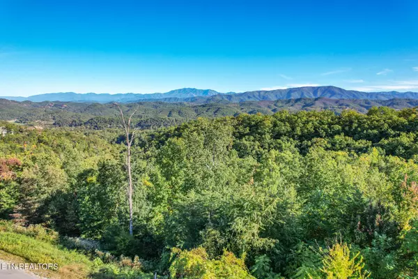 Sevierville, TN 37862,Lot 101 Laurel Cove Tr