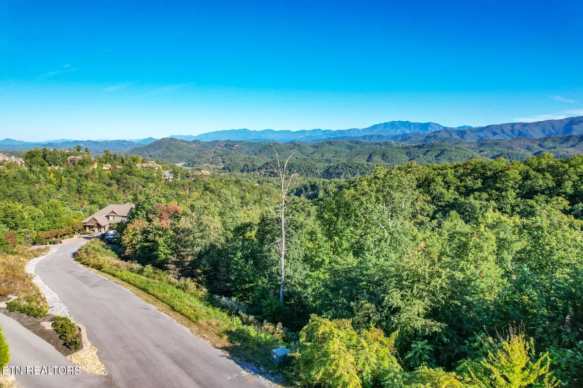 Sevierville, TN 37862,Lot 101 Laurel Cove Tr