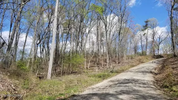 Spring City, TN 37381,8.43 Acres Spruce, Willow & Maple DR