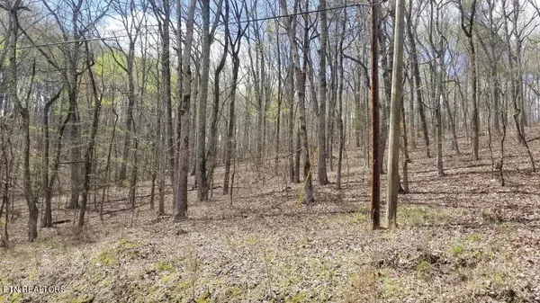 Spring City, TN 37381,8.43 Acres Spruce, Willow & Maple DR