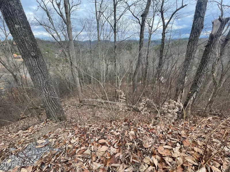 Lot 99 Dolly South DR, Sevierville, TN 37876