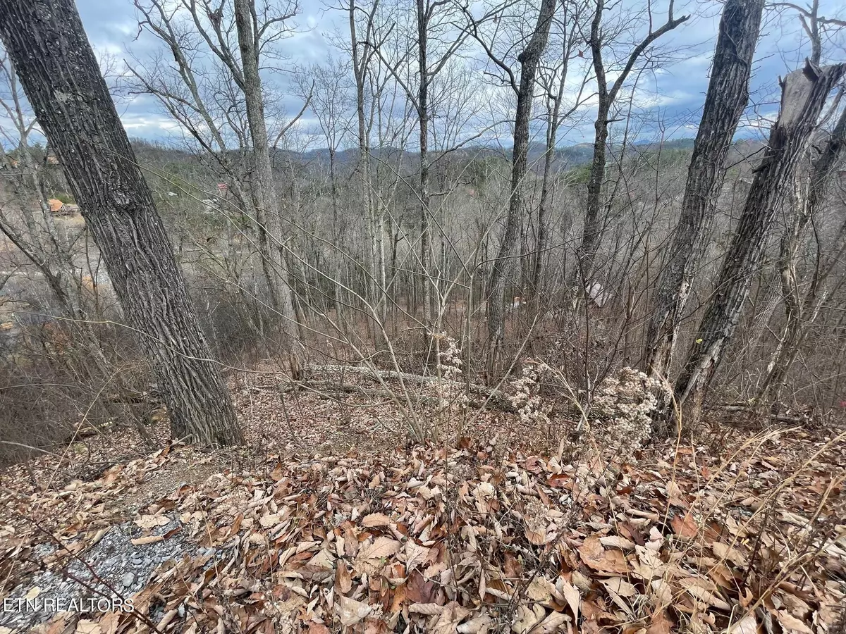 Sevierville, TN 37876,Lot 99 Dolly South DR