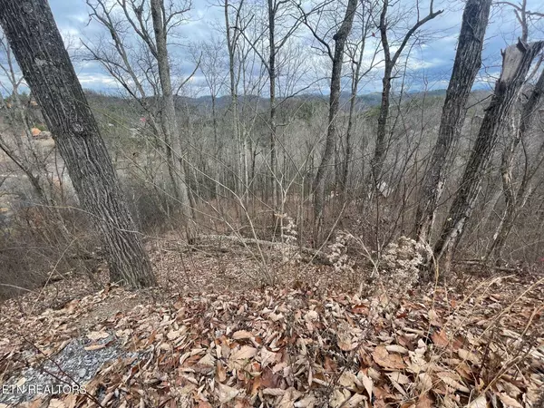 Lot 99 Dolly South DR, Sevierville, TN 37876