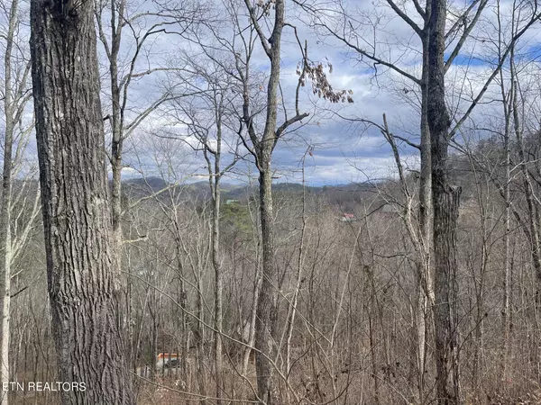 Sevierville, TN 37876,Lot 99 Dolly South DR