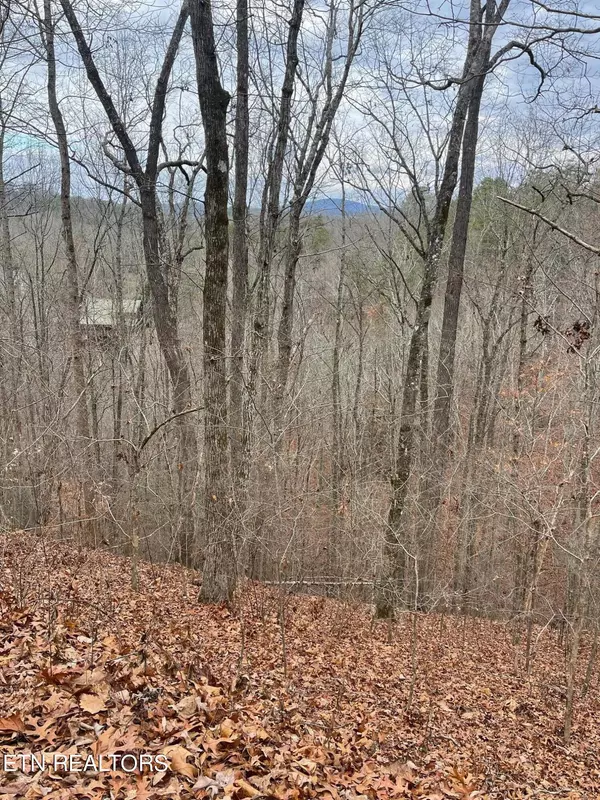 Sevierville, TN 37876,Lot 99 Dolly South DR