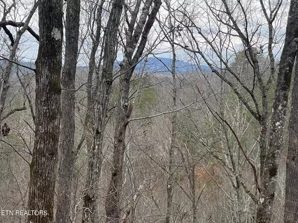 Sevierville, TN 37876,Lot 99 Dolly South DR