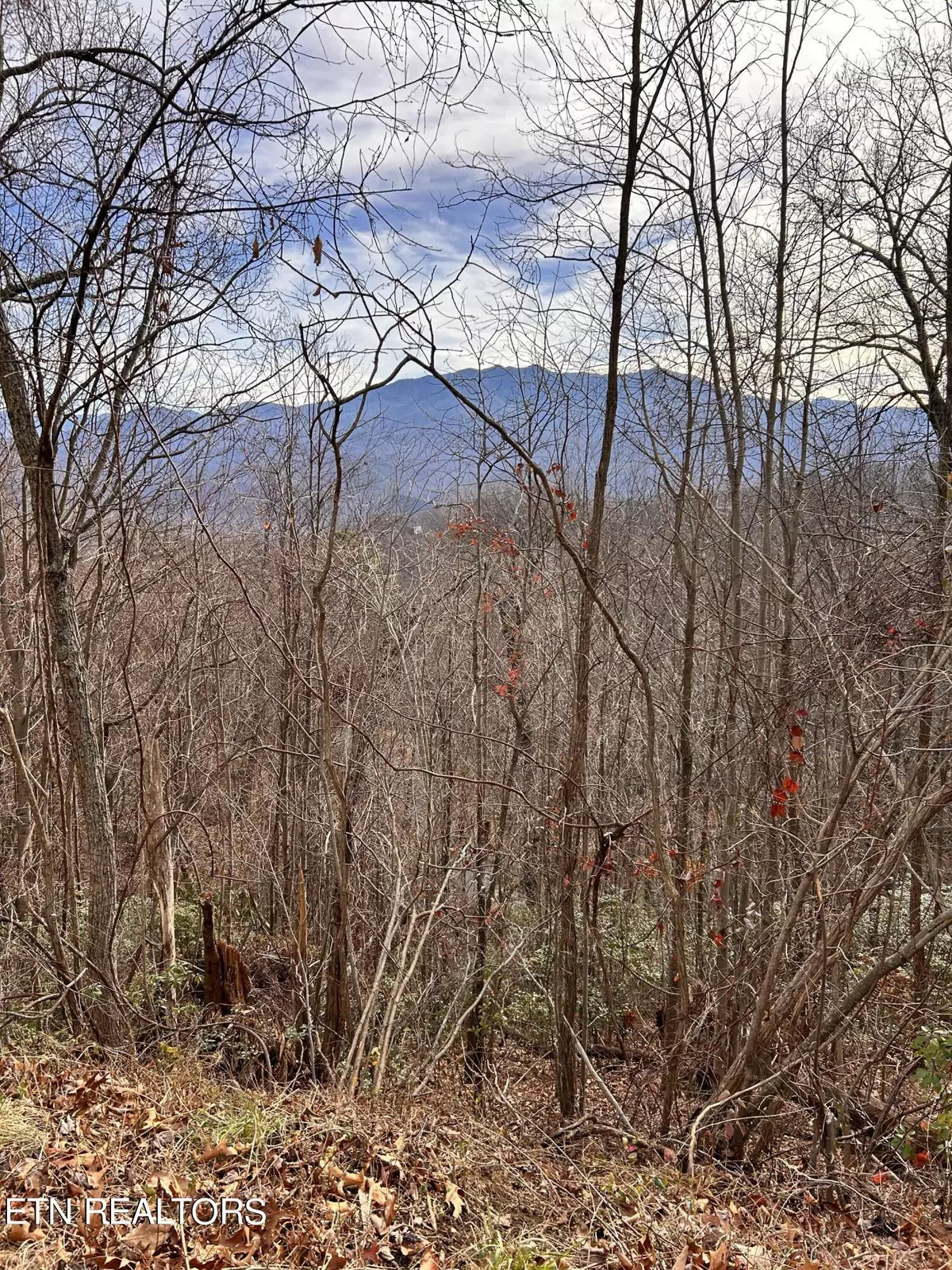 Gatlinburg, TN 37738,Upper Alpine Way lot 3