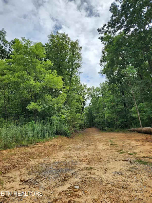 Tellico Plains, TN 37385,Lot 9 Coker Creek Trail