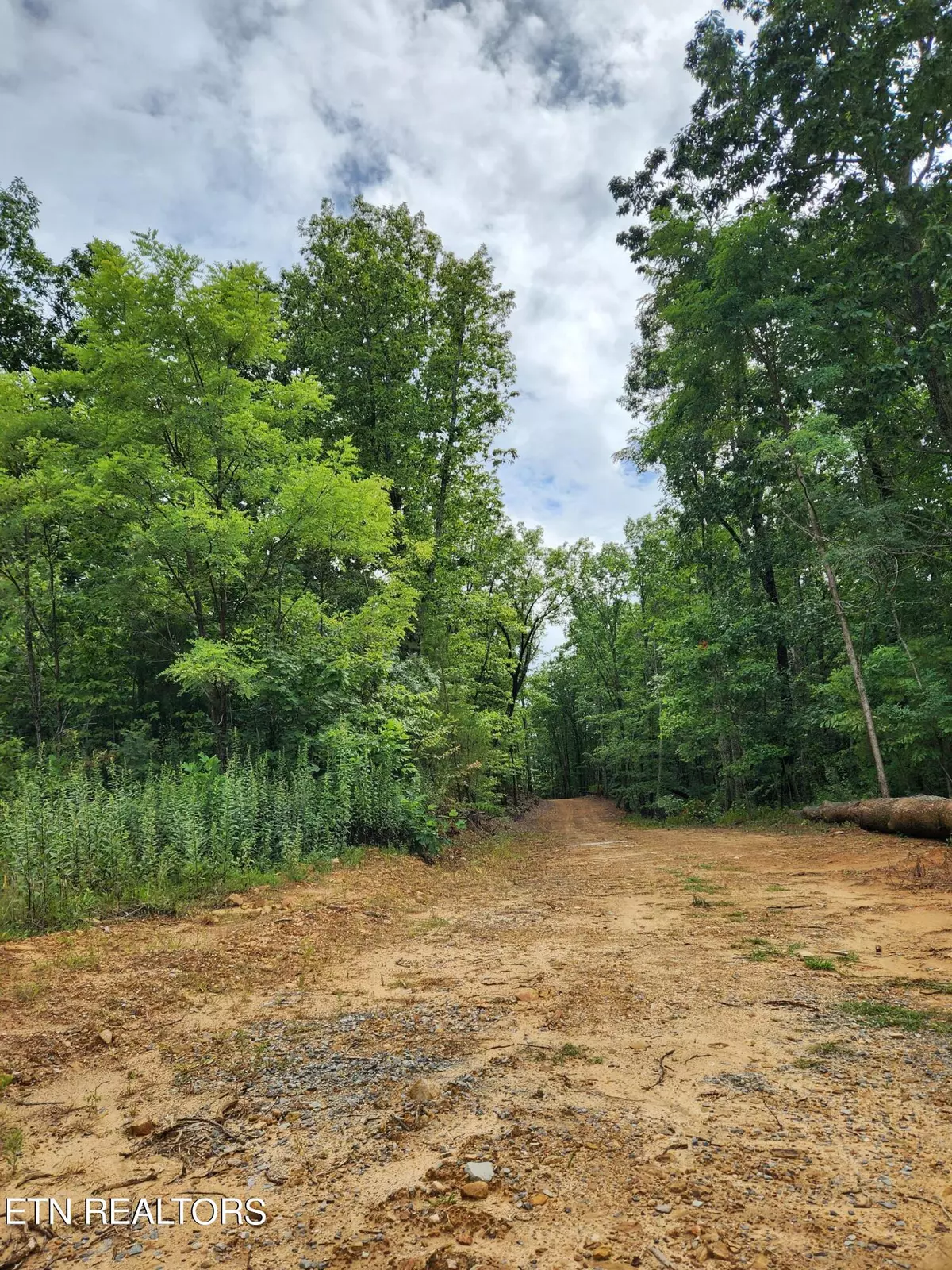 Tellico Plains, TN 37385,Lot 12 Coker Creek Trail