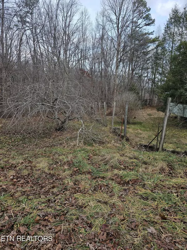 Lot 1 Obis Bowling Rd, Robbins, TN 37852