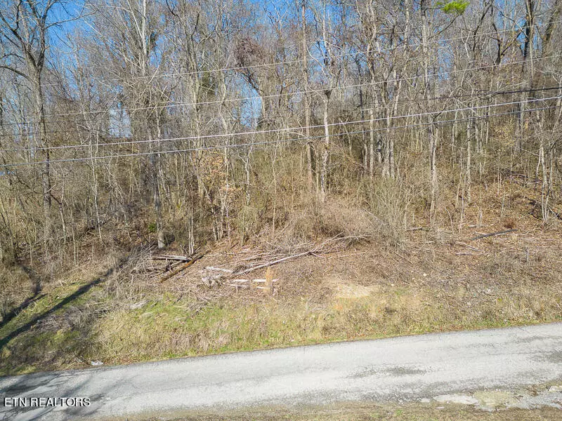 Lot 507 Deer Trail Circle, New Tazewell, TN 37825