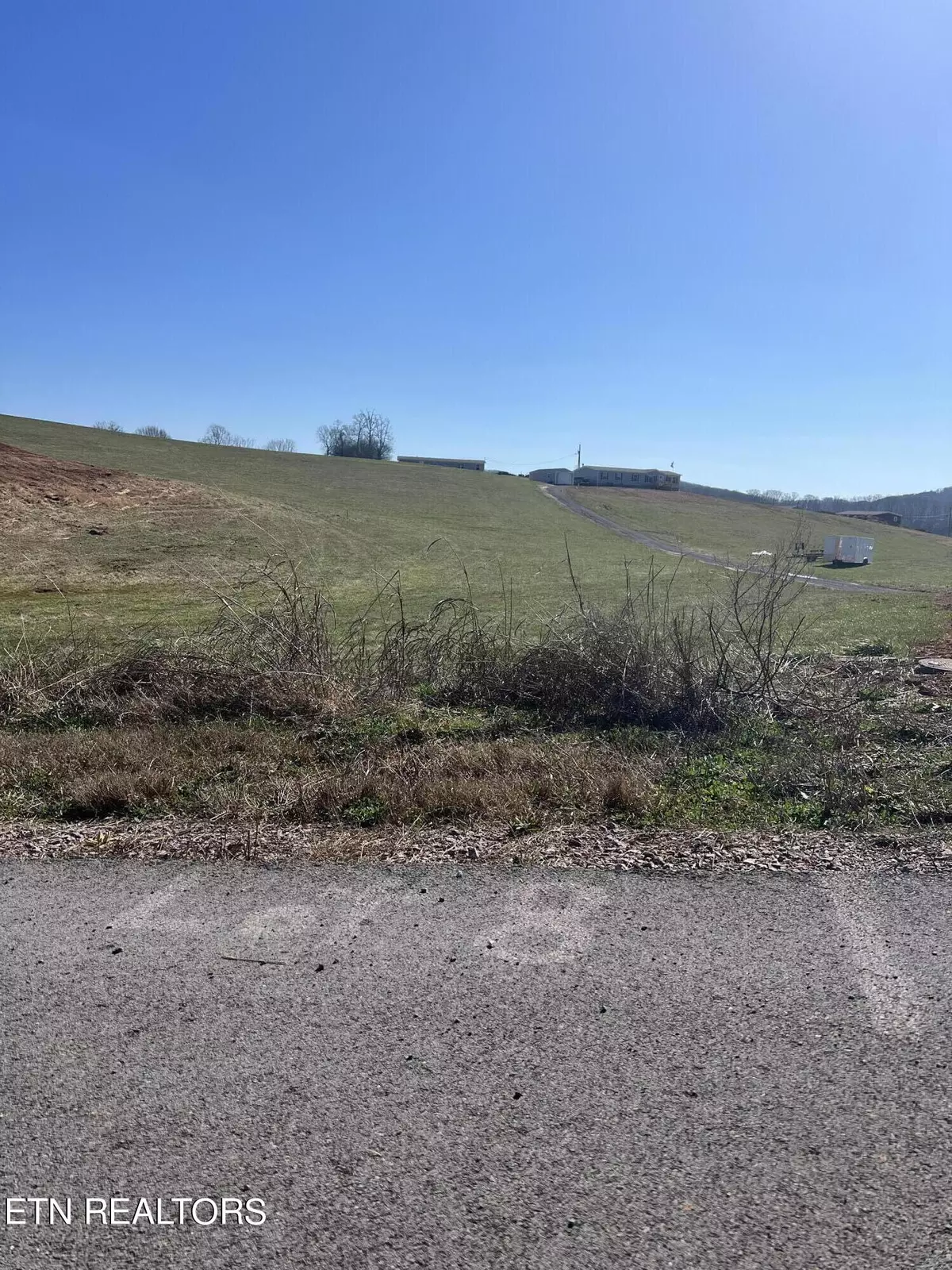 Rutledge, TN 37861,Lot 8 Schertz LN