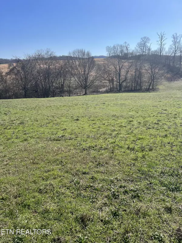 Rutledge, TN 37861,Lot 8 Schertz LN