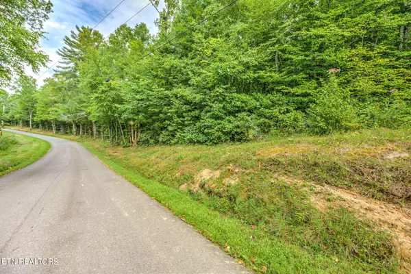 29.82 Acres French Hamby Rd, Wartburg, TN 37887