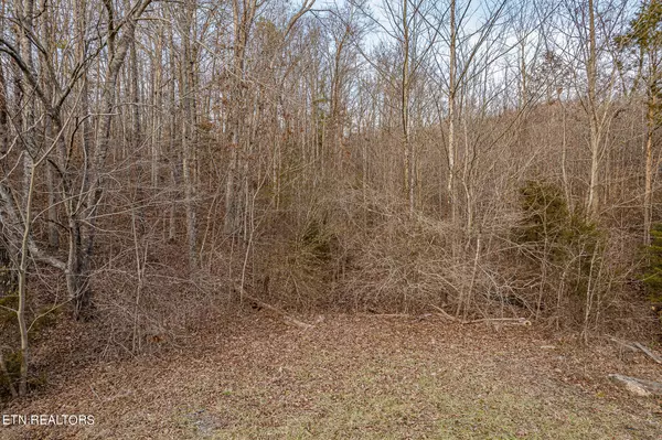 Ten Mile, TN 37880,00 Upper Concord Road