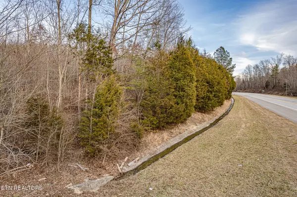 Ten Mile, TN 37880,00 Upper Concord Road