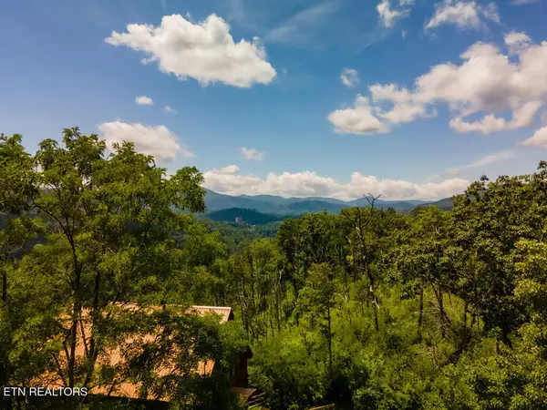 Gatlinburg, TN 37738,104 Oglewood LN