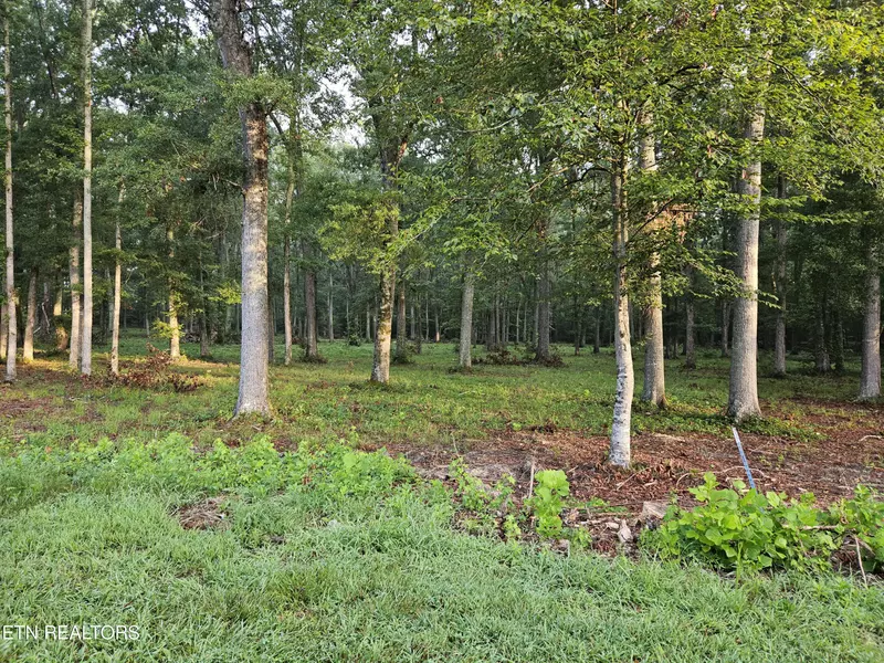 Lot 5 Deerwood DR, Dandridge, TN 37725