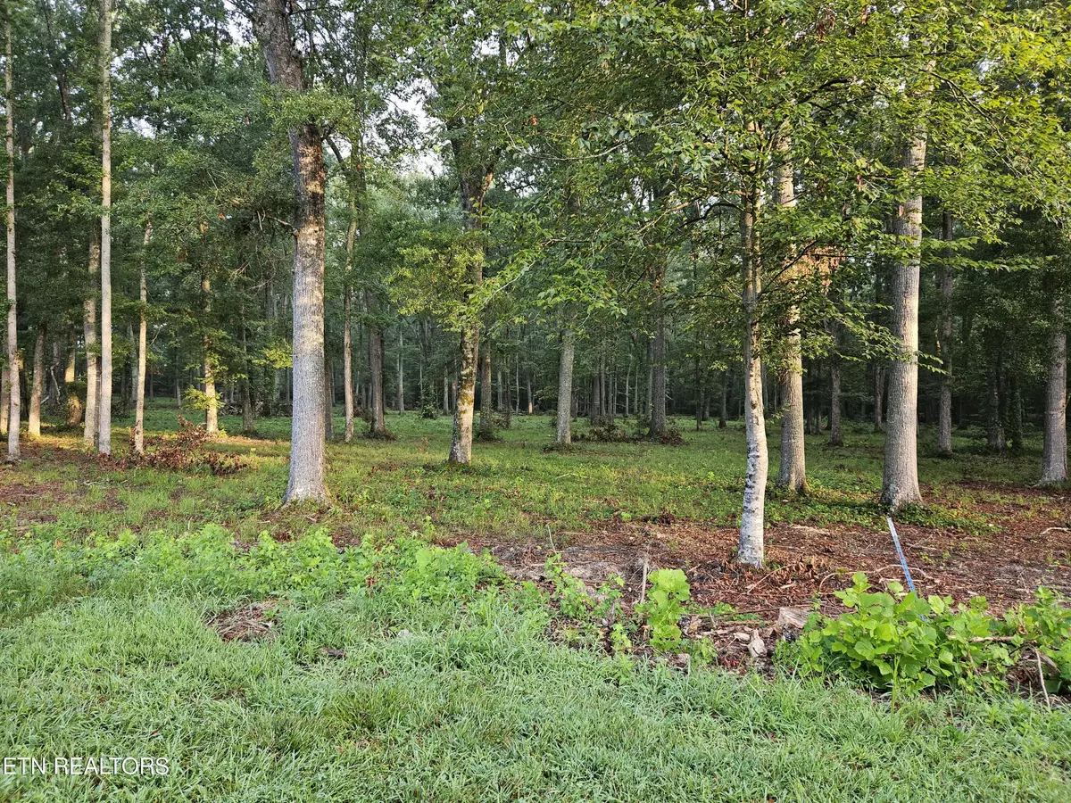 Dandridge, TN 37725,Lot 5 Deerwood DR