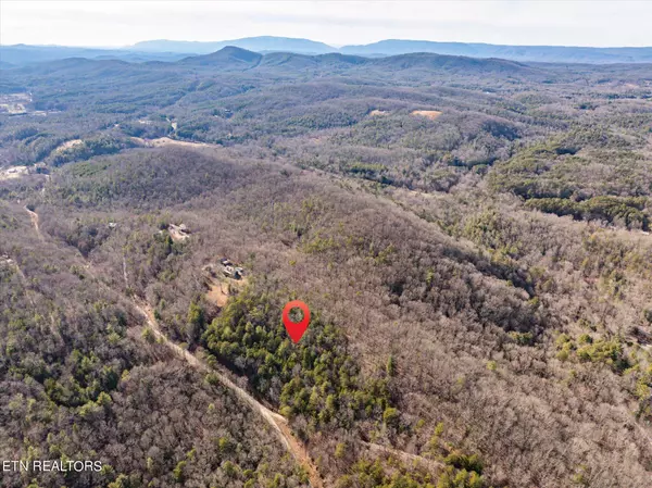 Tellico Plains, TN 37385,000 Cooper Hollow Rd