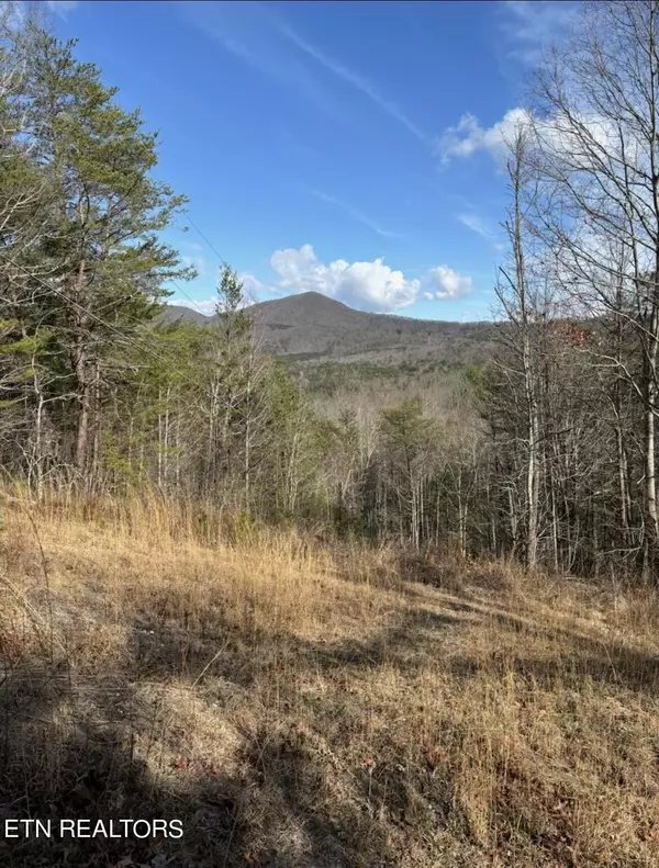 Tellico Plains, TN 37385,000 Cooper Hollow Rd