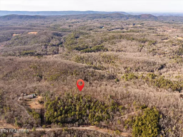 Tellico Plains, TN 37385,000 Cooper Hollow Rd