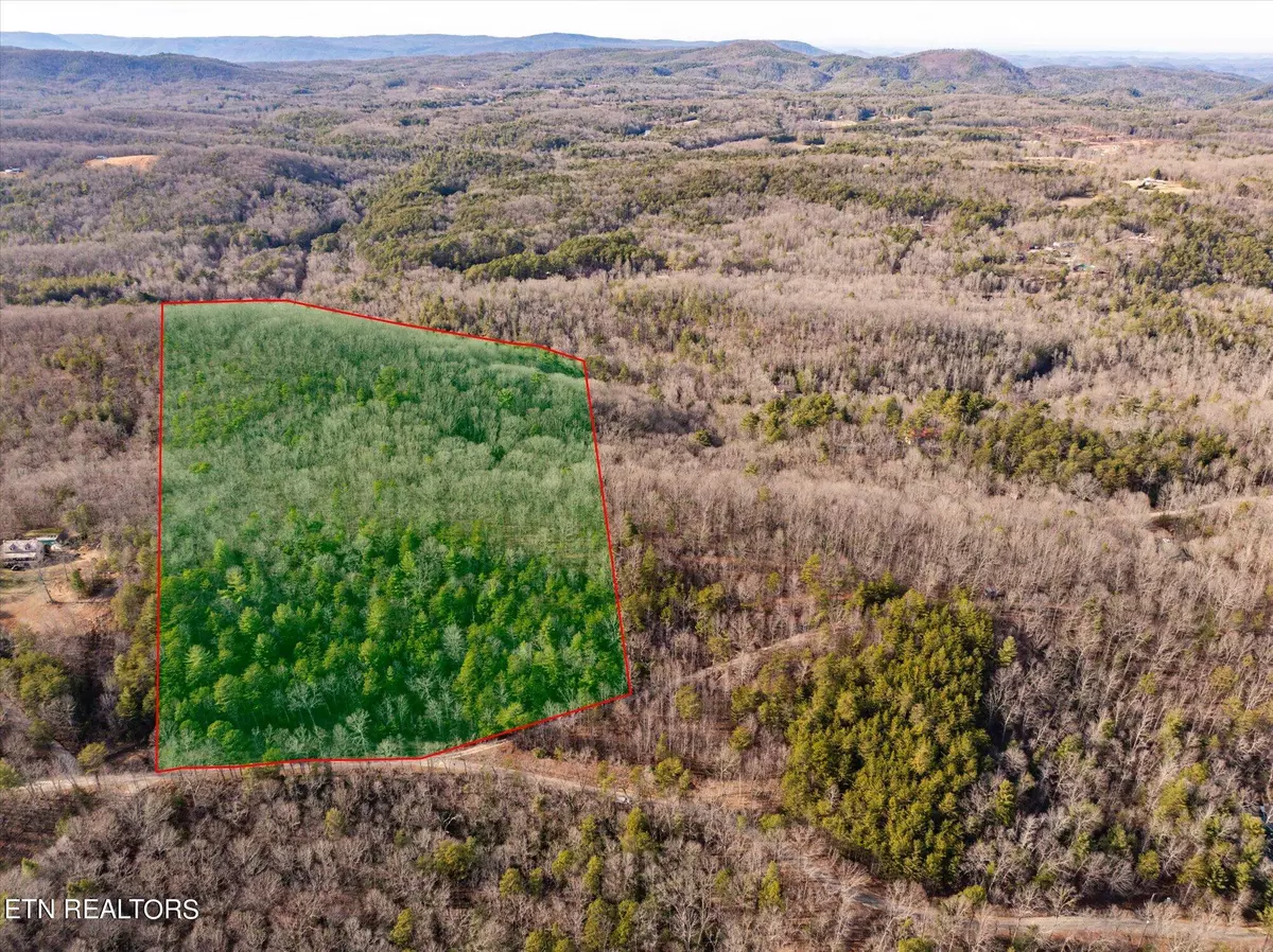 Tellico Plains, TN 37385,000 Cooper Hollow Rd