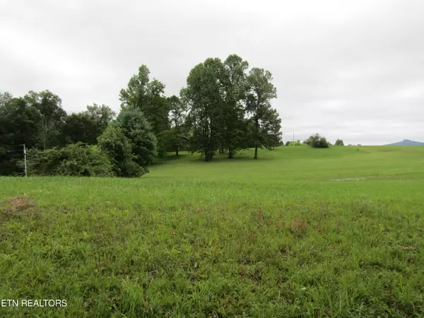 Lot 3 & 4 Gunnels (Lakesview Est) Rd, Byrdstown, TN 38549