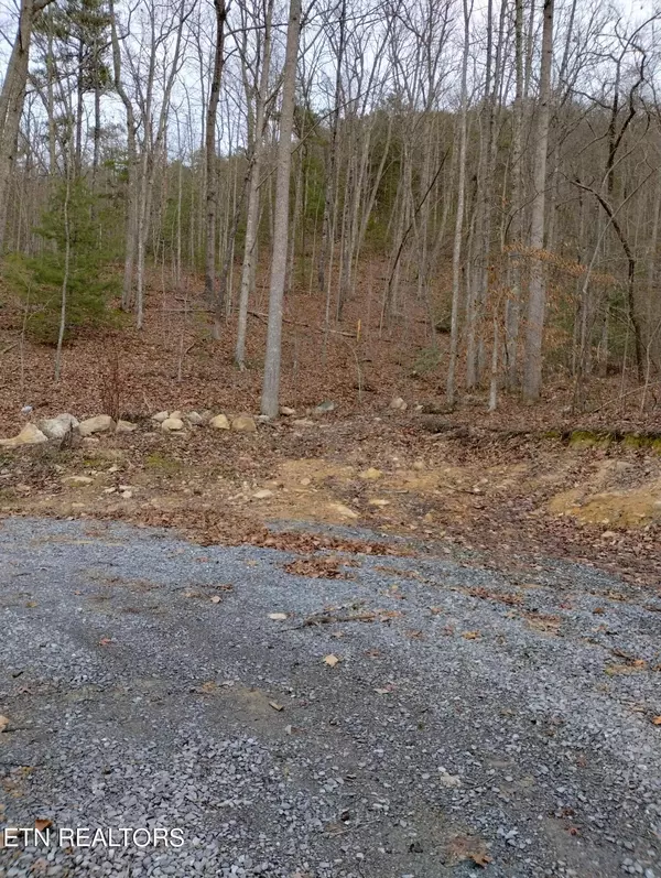 Sevierville, TN 37876,Lot 26 Black Oak DR