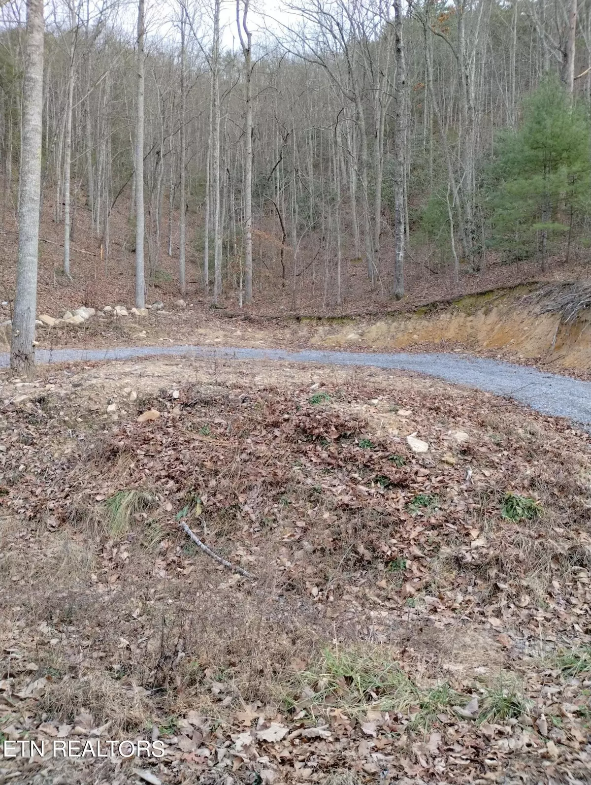 Sevierville, TN 37876,Lot 26 Black Oak DR