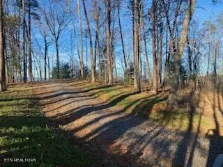 Reliance, TN 37369,Lot 1A Chestnut Mountain Road