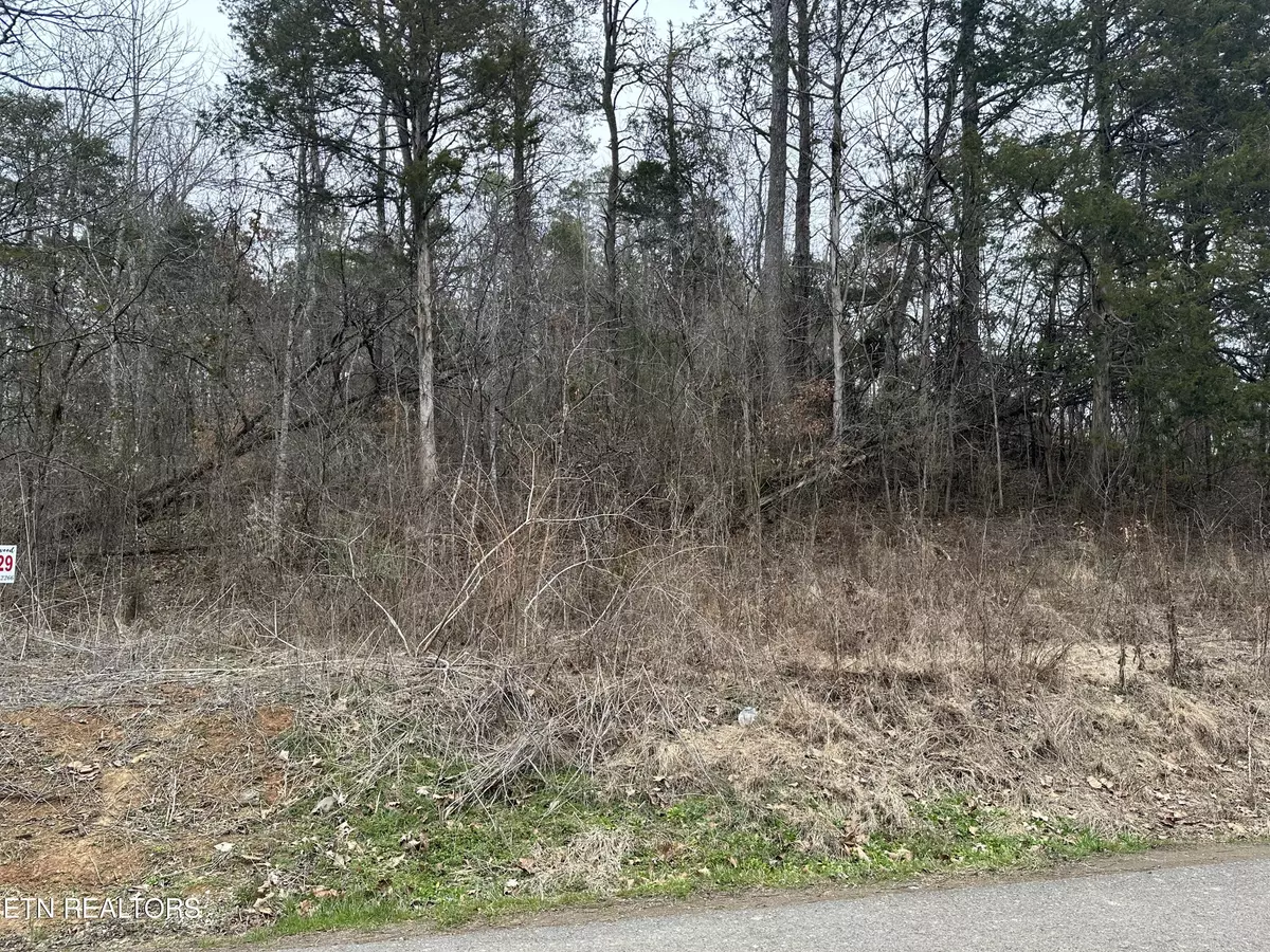 Newport, TN 37821,Lot 29 Lower English Creek Rd