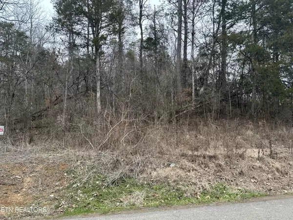 Lot 29 Lower English Creek Rd, Newport, TN 37821