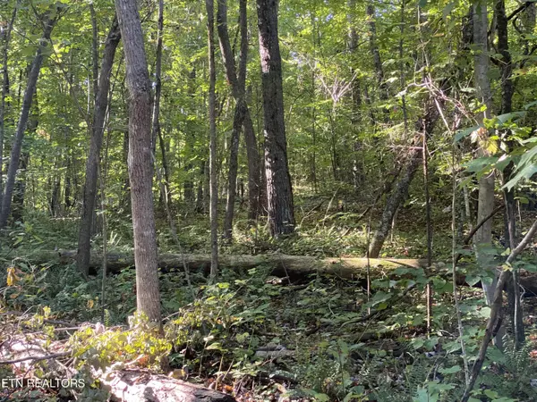 Powell, TN 37849,0 Conner Rd