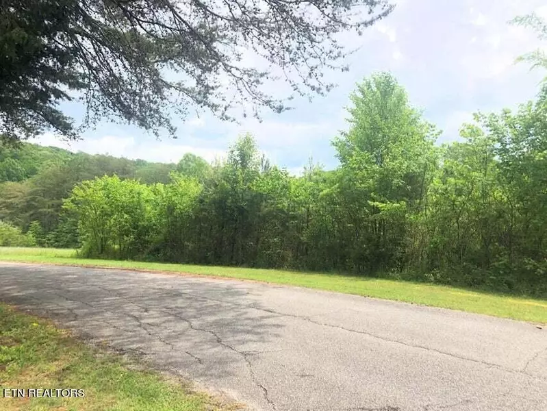 Lot 64 Dean DR, Ten Mile, TN 37880