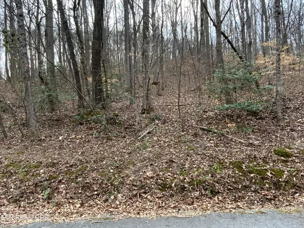 Rockwood, TN 37854,Coffey Circle, 1.25 acres